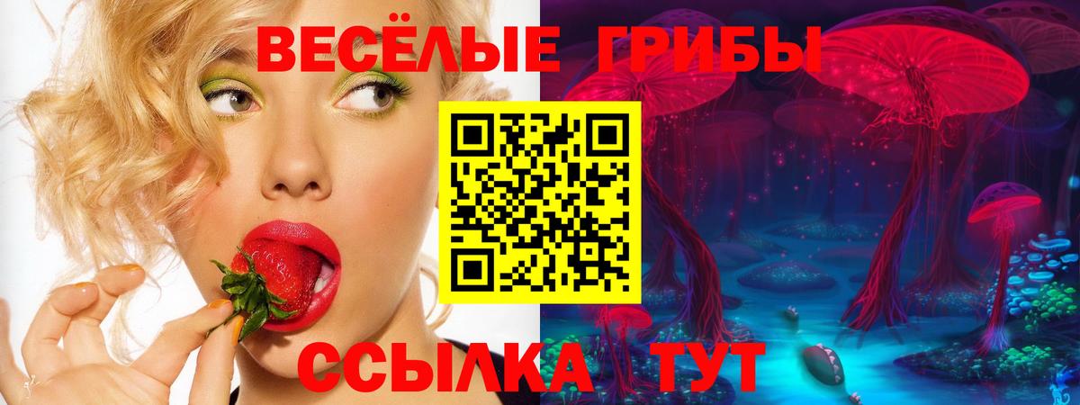 Ялуторовск  Псилоцибиновые грибы Magic Shrooms  Вход с VPN 